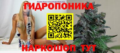 прущая мука Дубна