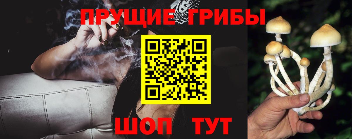 Новоуральск  Галлюциногенные грибы мицелий  Вход с VPN 