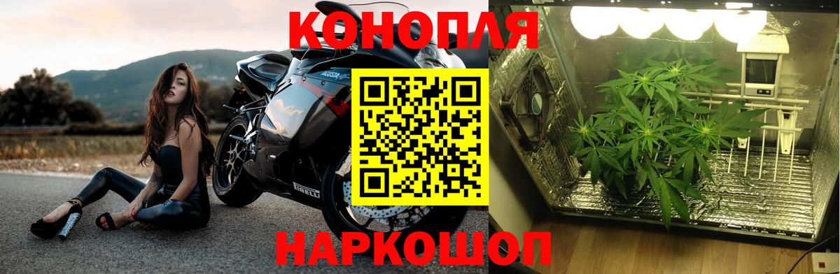 Каннабис планчик  Канабис MAZAR  Вход с VPN  Новоуральск 